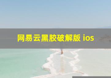 网易云黑胶破解版 ios